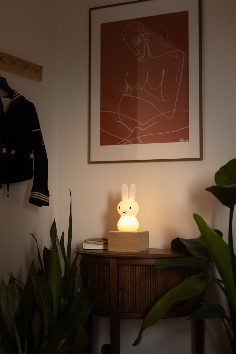 Miffy Light