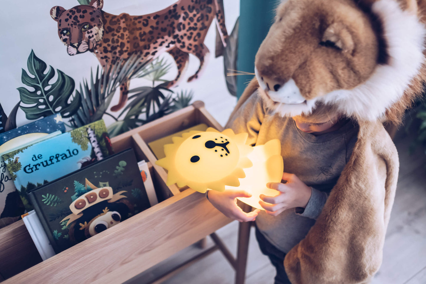 Lion First Light in a nursery setting beside books