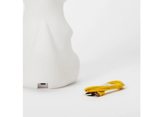 MRCAB12 - Charging cable