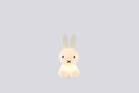 Miffy Bundle of Light