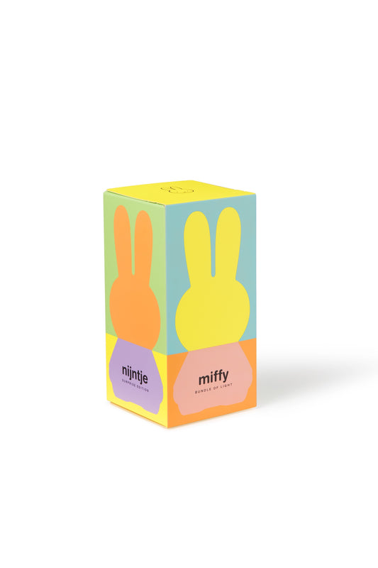 Miffy Colourful Surprise Bundle of Light mystery box night light