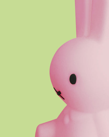 Miffy Colourful Surprise Bundle of Light collectible colors