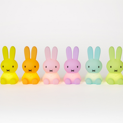 Miffy Colourful Surprise Bundle of Light