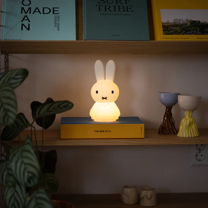 Lifestyle photo of Miffy Shines placed on a shelf with toys and books