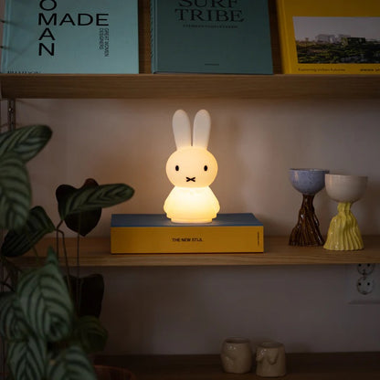Lifestyle photo of Miffy Shines placed on a shelf with toys and books