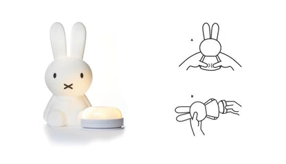 MRLED 12 & 14 - First Light Module